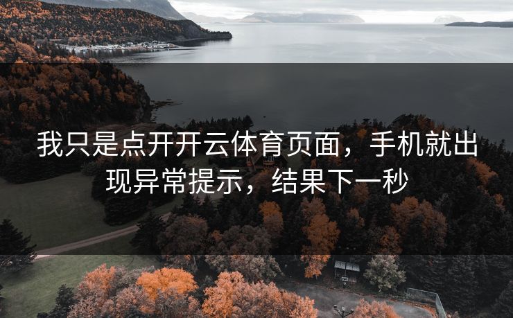 我只是点开开云体育页面，手机就出现异常提示，结果下一秒