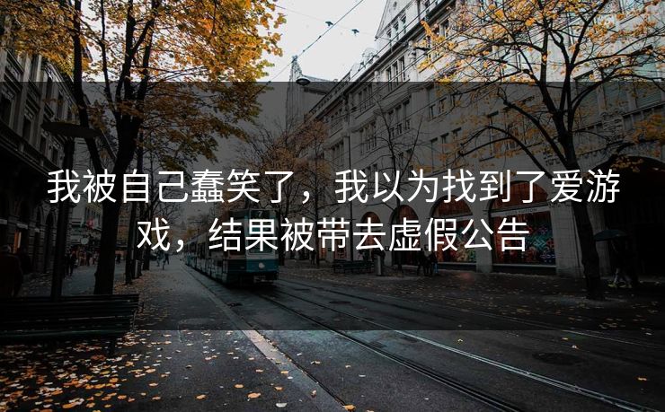 我被自己蠢笑了，我以为找到了爱游戏，结果被带去虚假公告